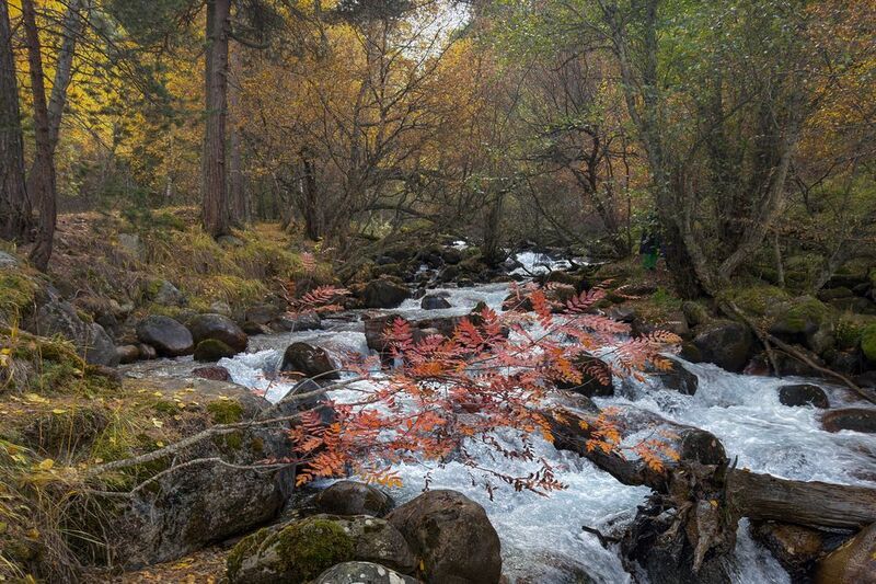 *** фото превью