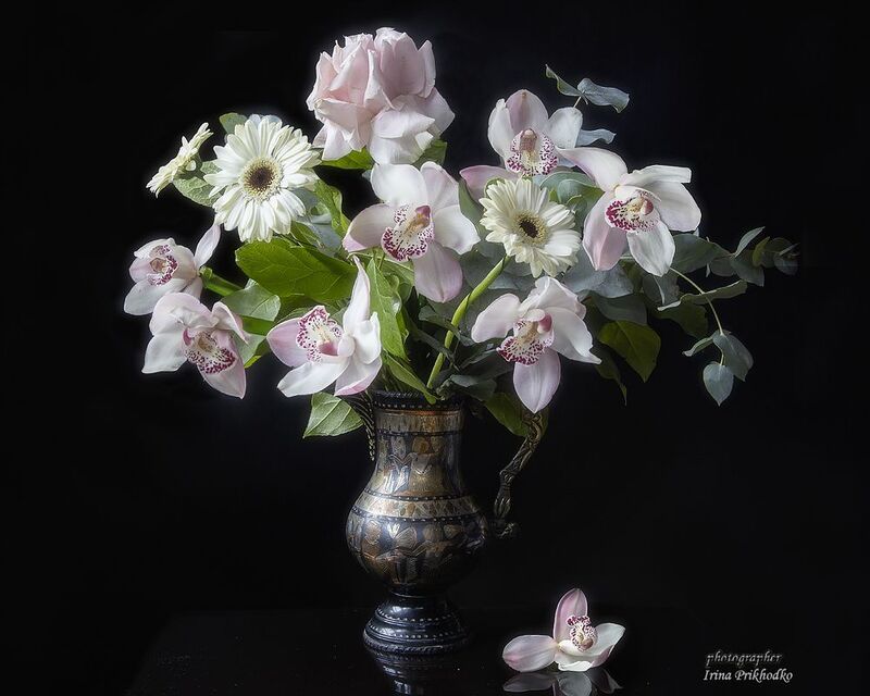 Бабочки в ночи фото превью