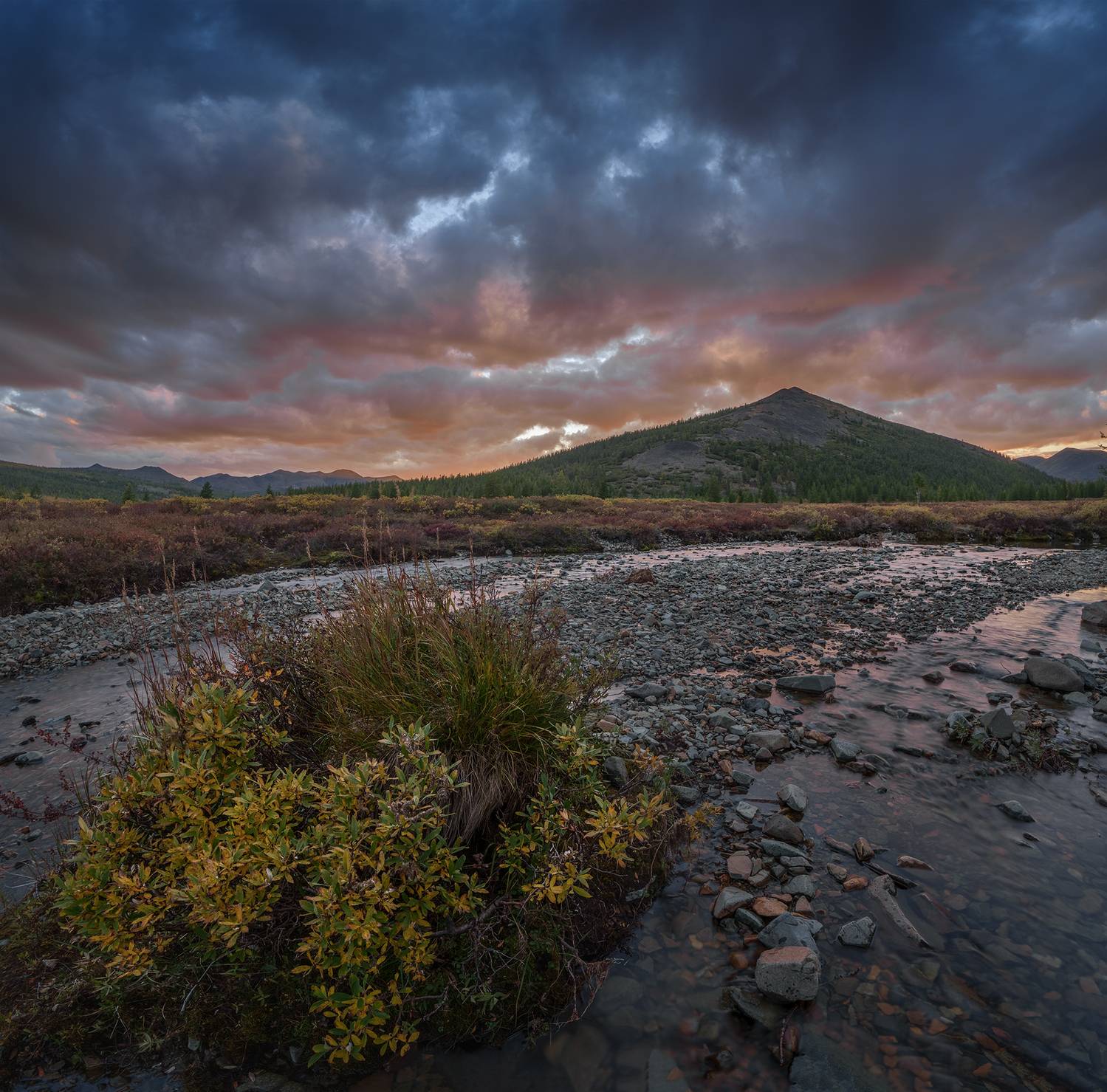 , Андреев Николай