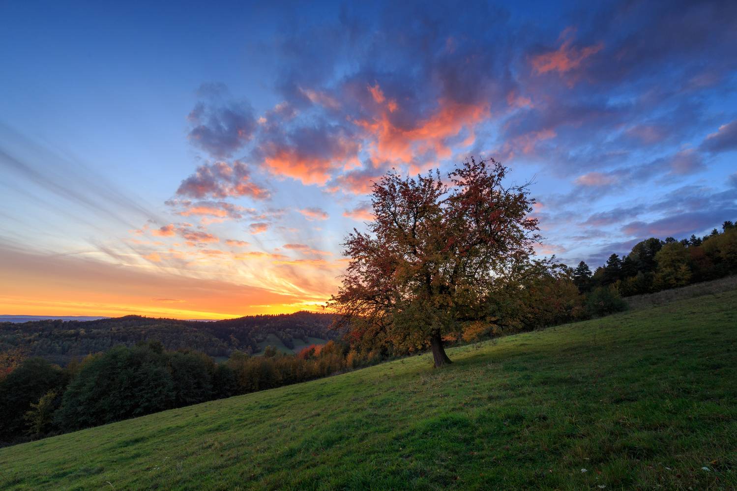 ,  Mirosław Pruchnicki