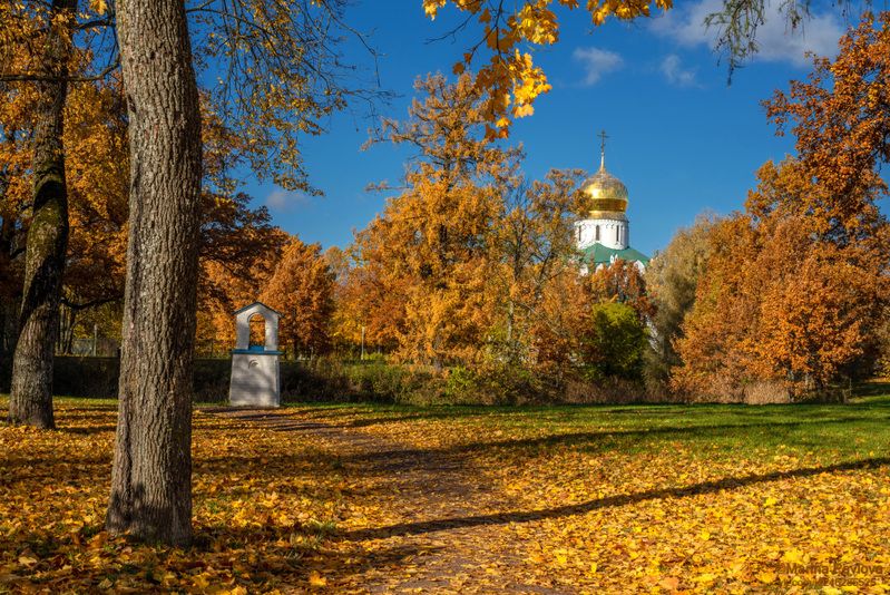 город, архитектура, город пушкин, осенний пейзаж, природа, царское село, фермский парк, пейзаж, фонарь в виде звонницы, собор феодоровской иконы божиейматери, храм, золотая осень, пригороды петербурга Золотая осень в Фермском парке. Собор Феодоровской иконы Божией Матери фото превью
