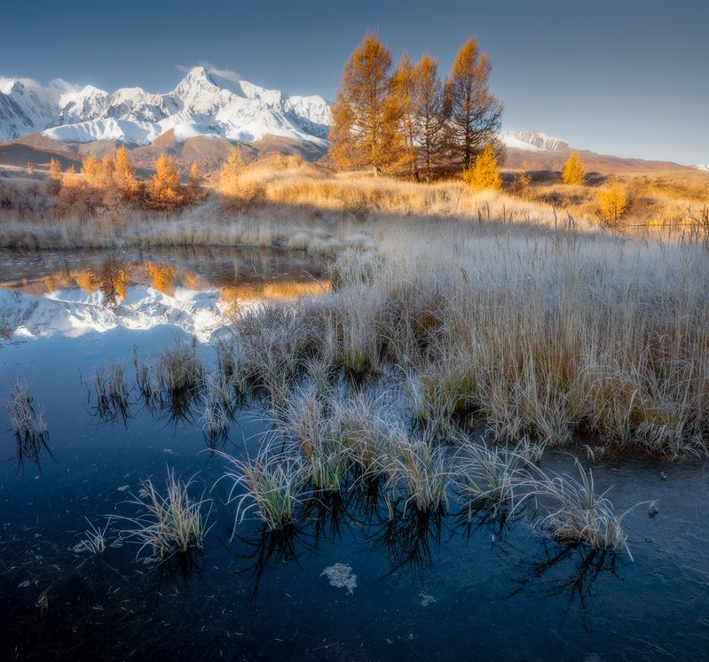 Солнечное утро на озере. фото превью