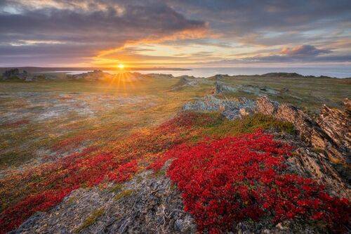 Ее величество осенняя тундра!