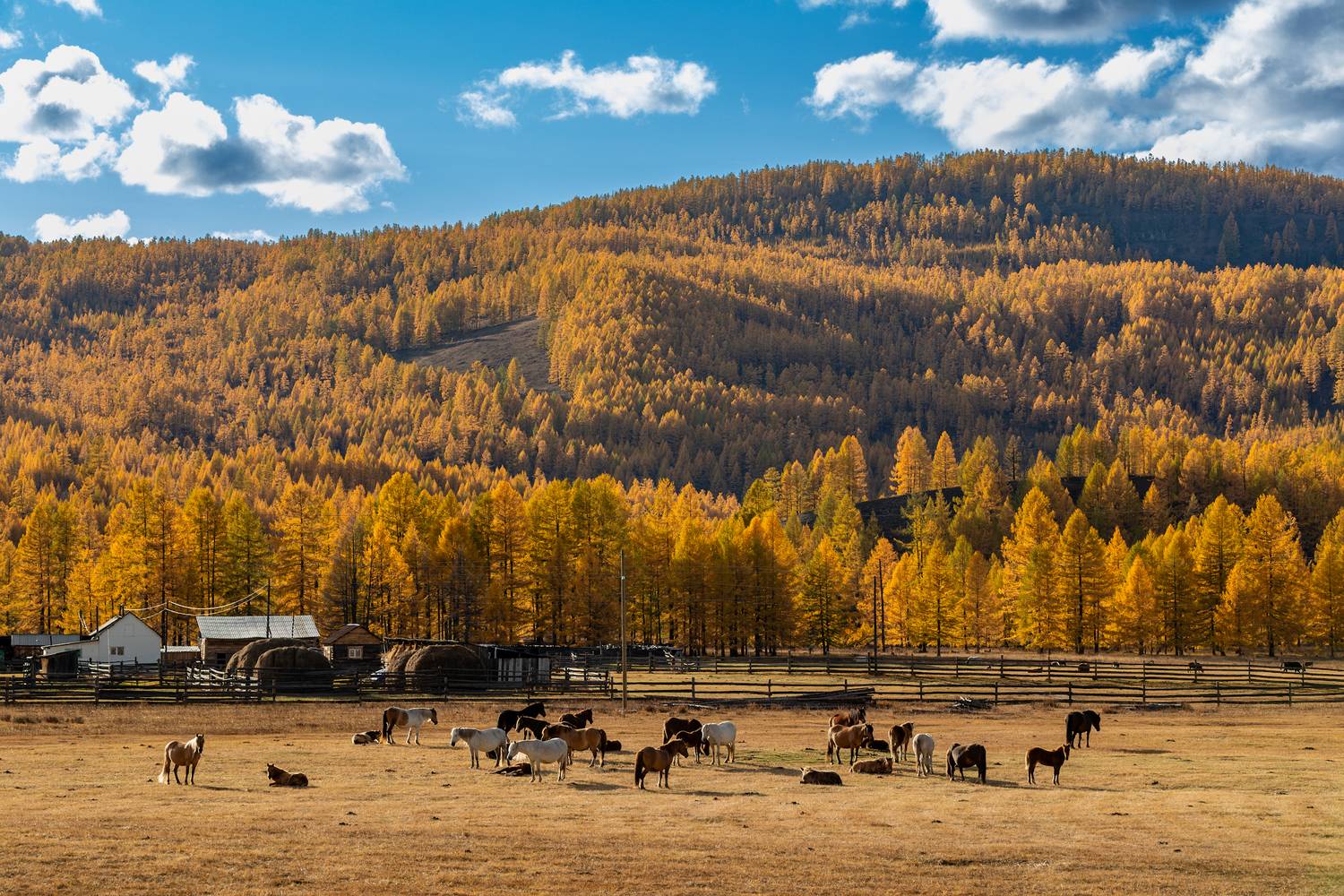 , Буянов Илья