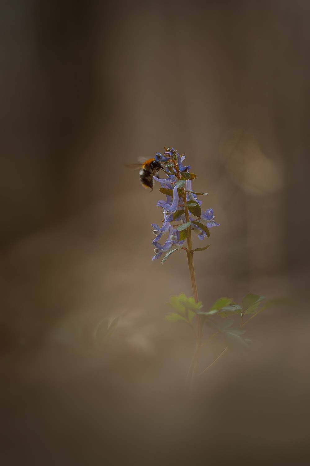 , Кузнецов Дмитрий