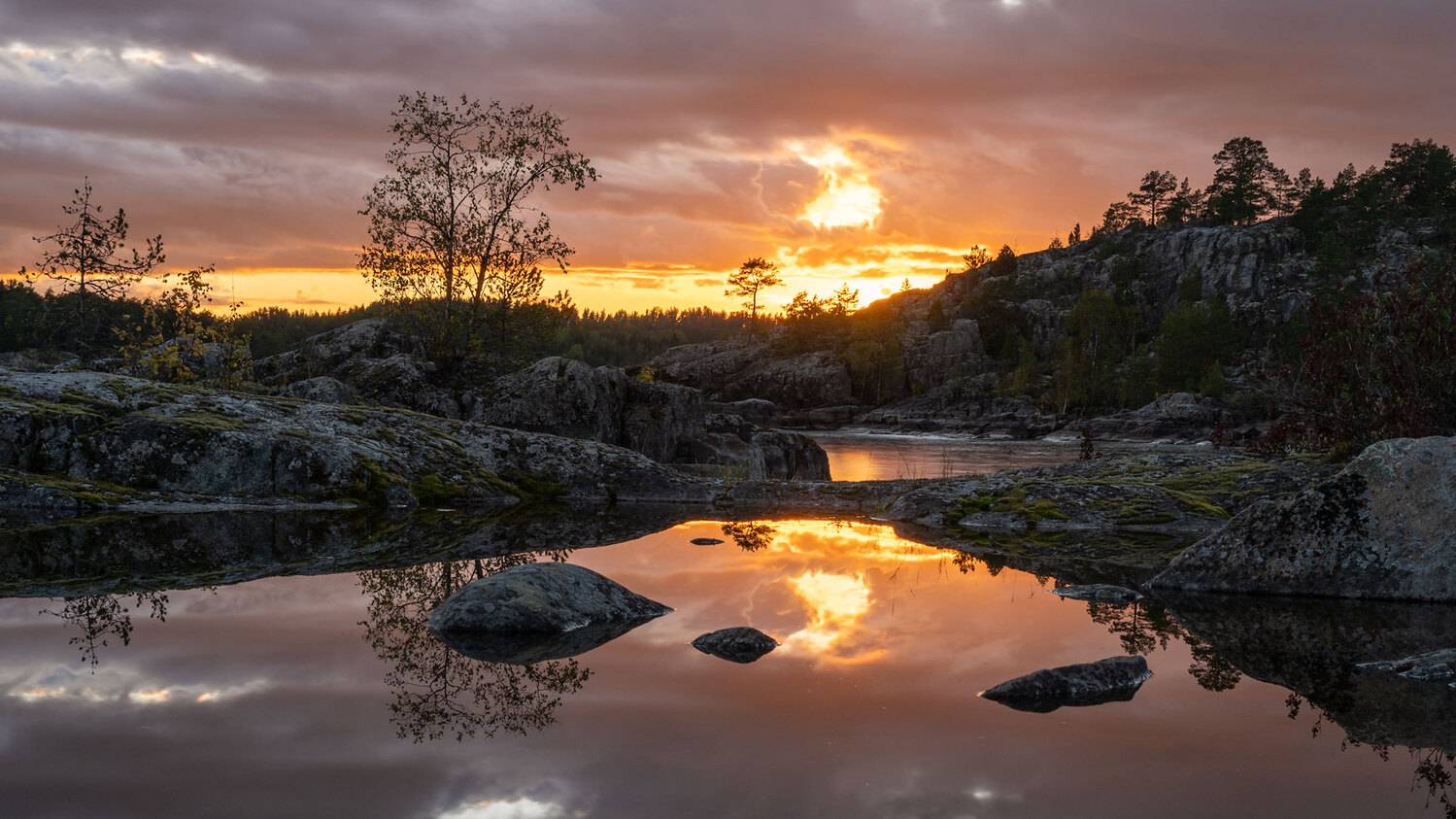 , Бушков Евгений