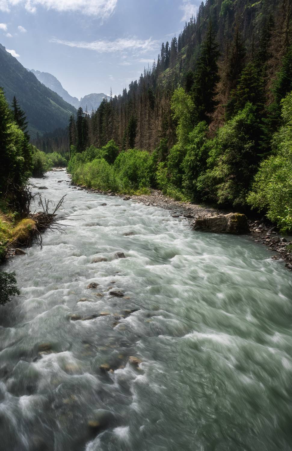 , Алексей Турчин