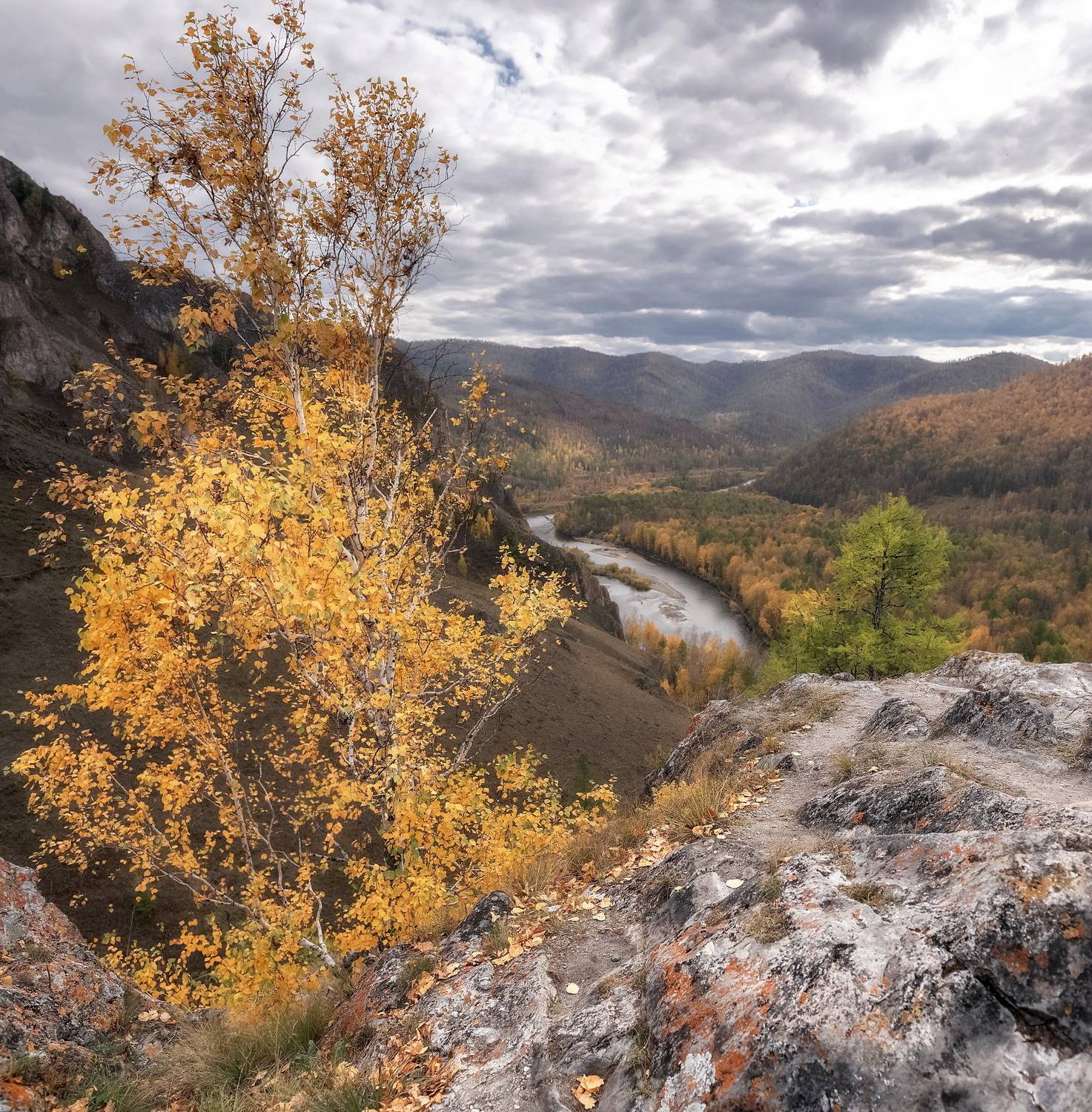 осень, хакасия, тропа предков, скалы, белый июс, березы, желтые листья, Марина Фомина