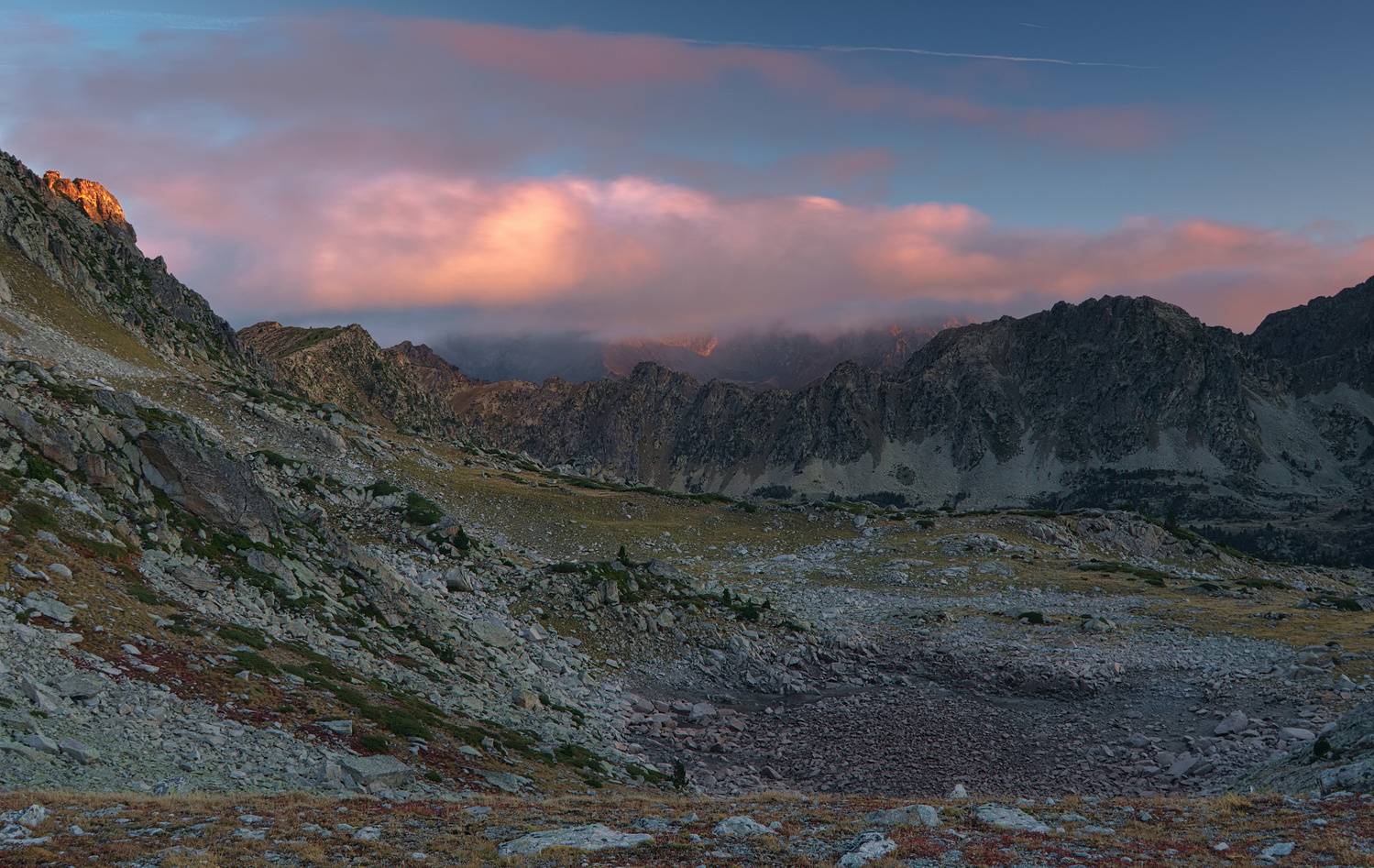 , Wojciech Tarnowski