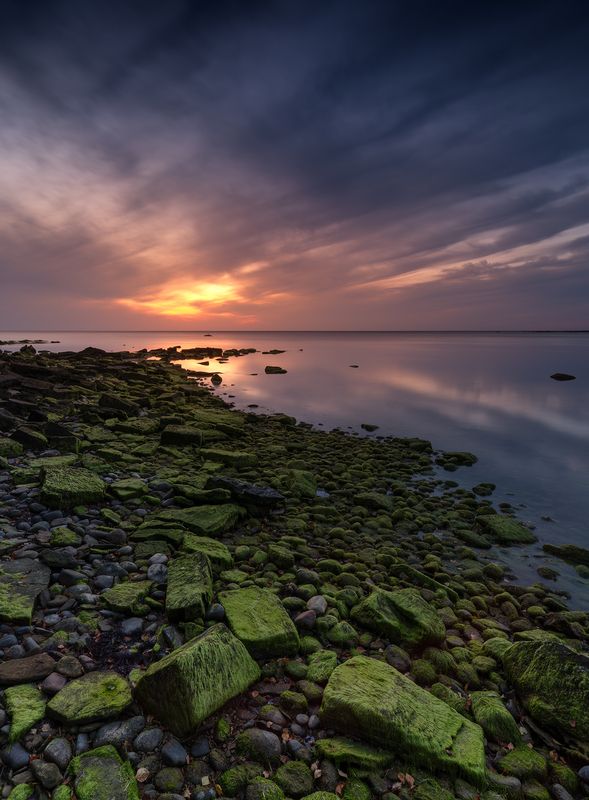 По зеленой тропе фото превью