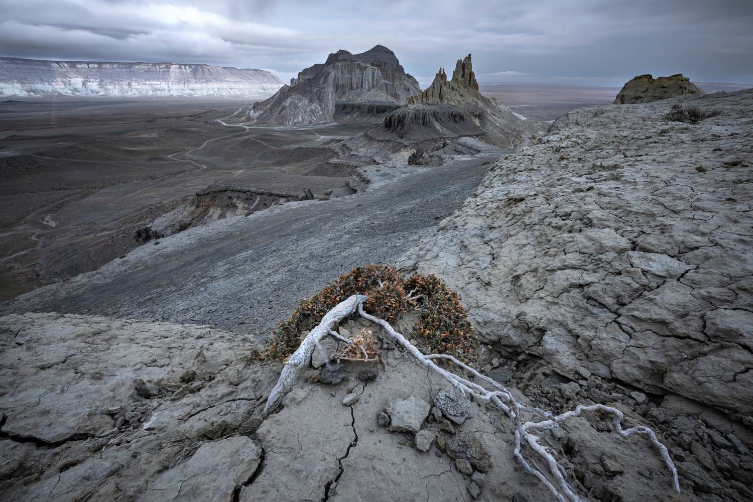 , Ширгин Сергей