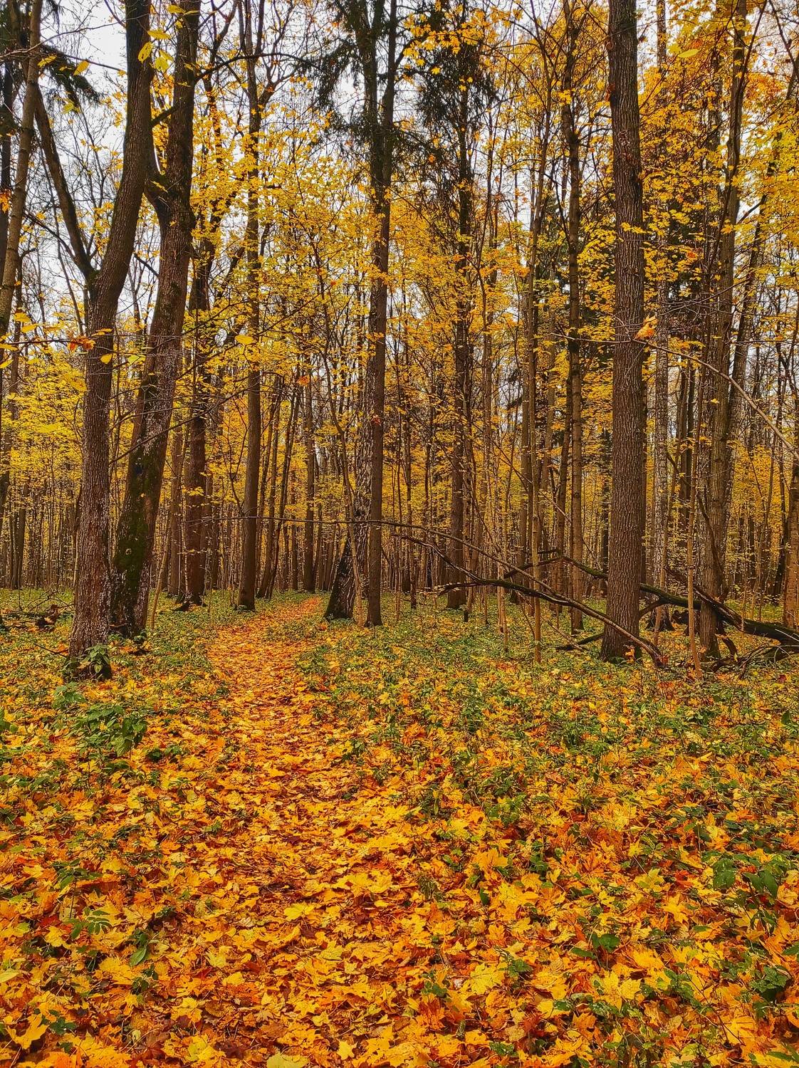 , Фото Александр