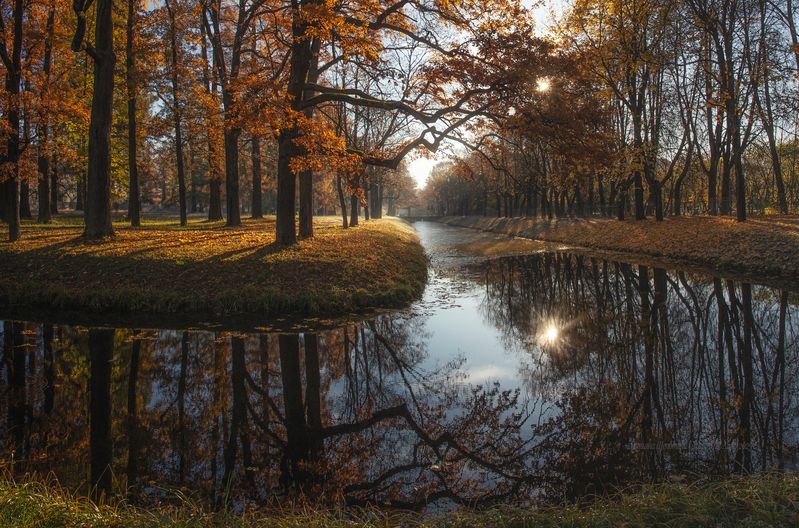 питер, пушкин, царское село, царское,  landscape, tsarskoye selo, autumn, туман, городской пейзаж, autumn, санкт-петербург, закат, александровский парк Царскосельская осень фото превью