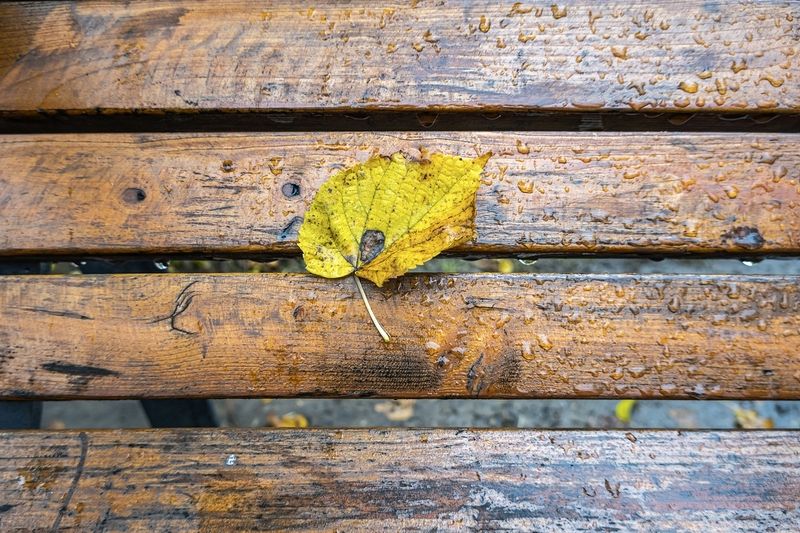 Прилипший фото превью