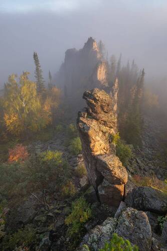 Китайка осенью