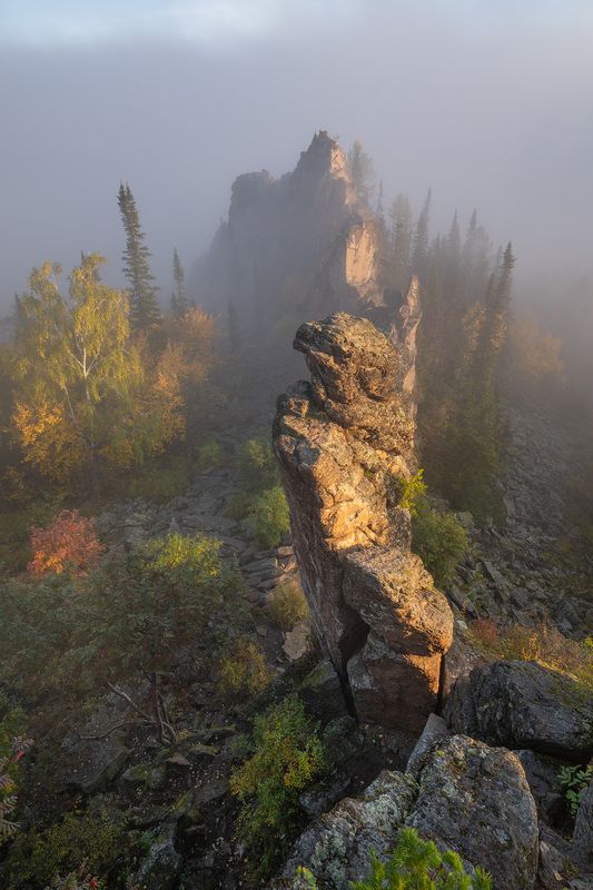 Китайка осенью фото превью