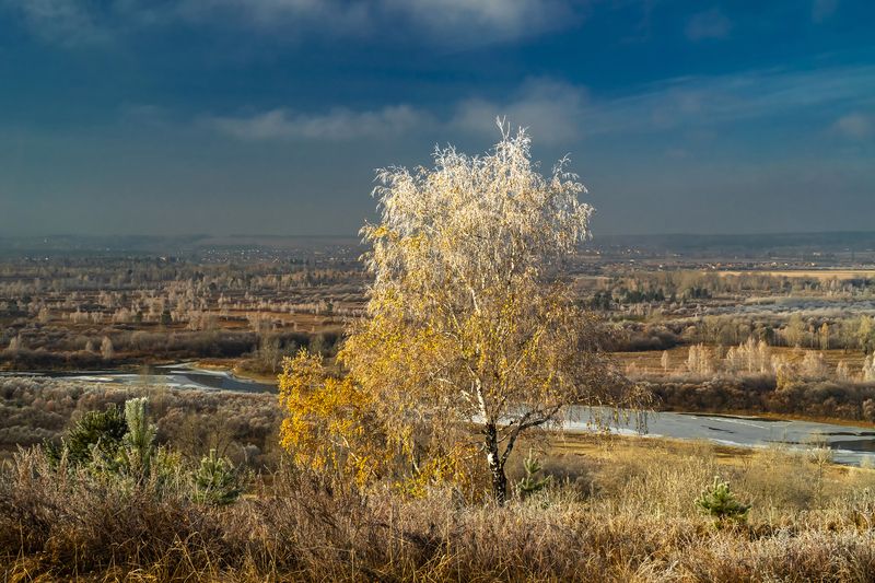 иркут, осень, иней Первый иней фото превью