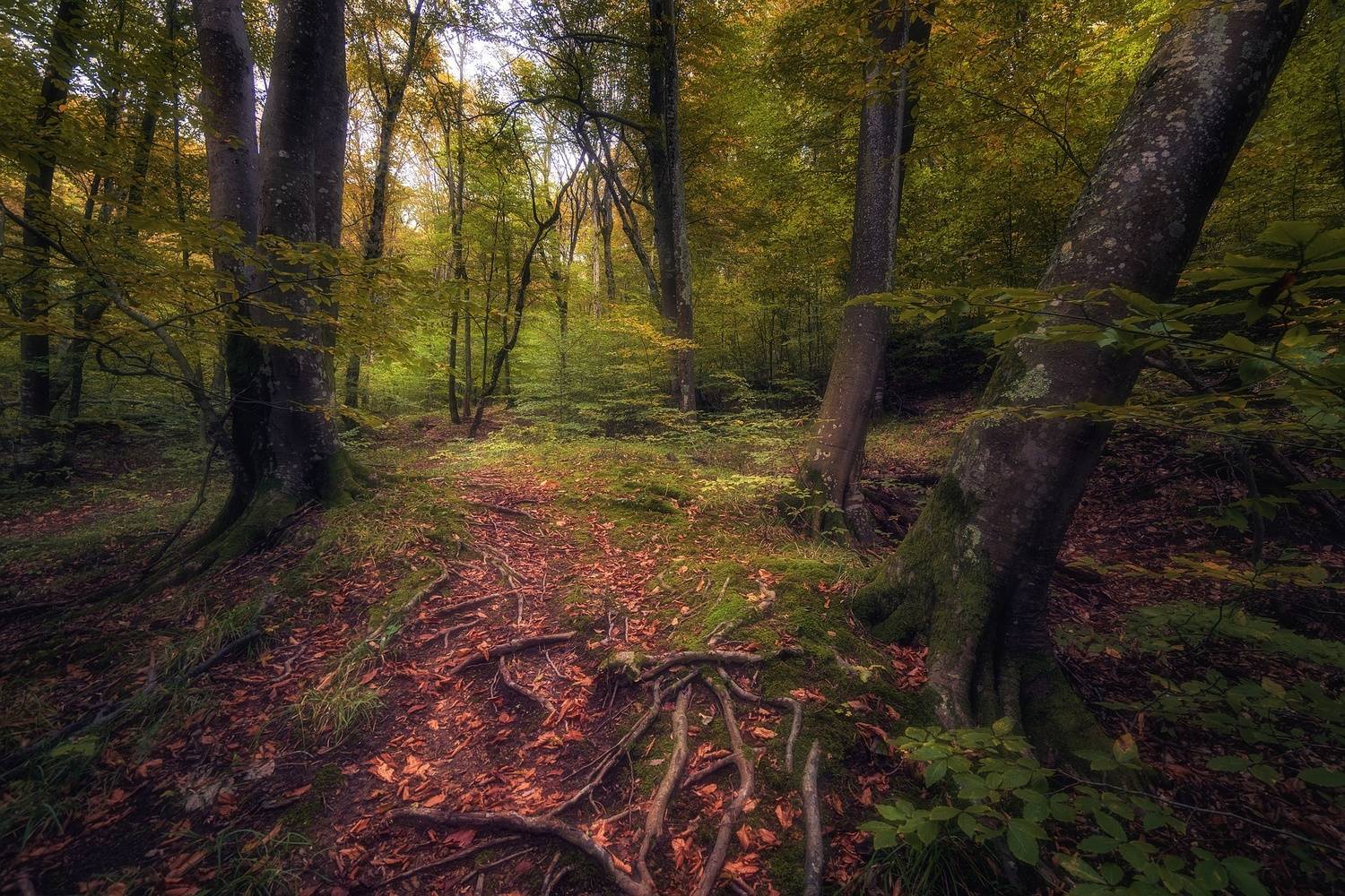 , Васин Сергей