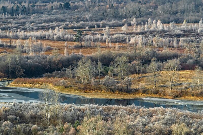 Первый осенний иней фото превью