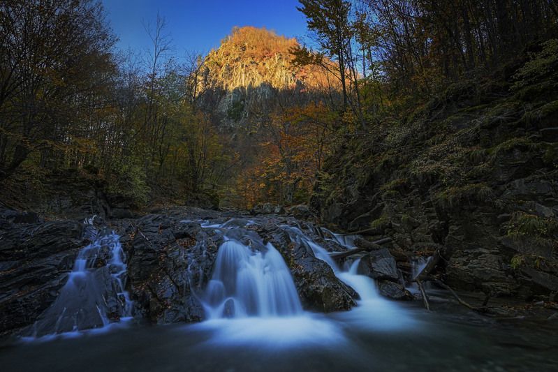 2025 фото превью