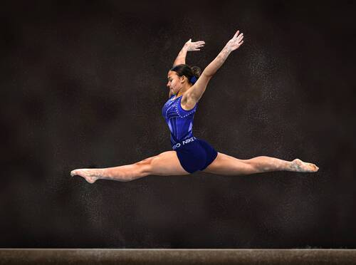 Flight of Elegance