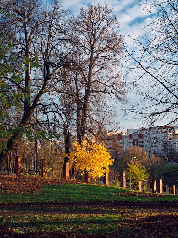 Остаток осени фото превью