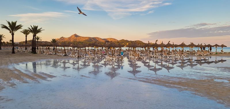 Сезон закончился фото превью