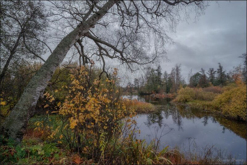 Осенняя зарисовка (на р. Вуокса) фото превью