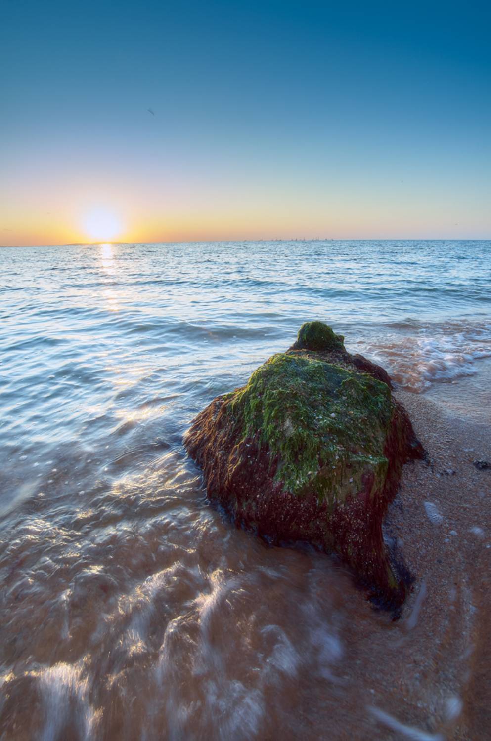 , Алексей Маслов