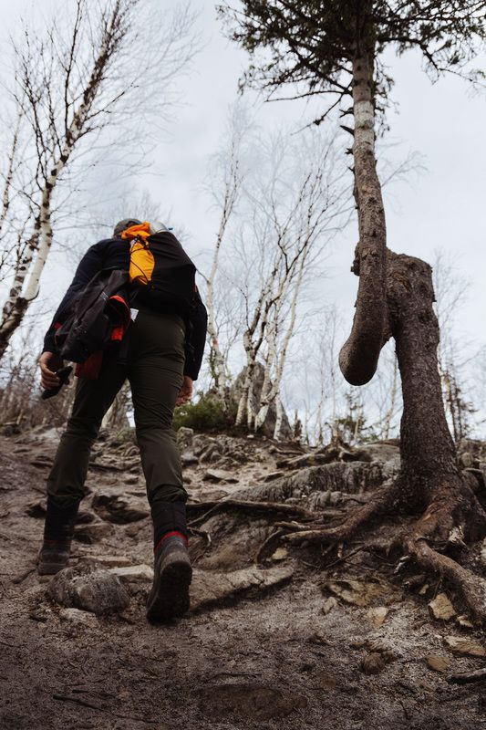 Таганай, Перья, Двуглавая сопка, Южный Урал, Урал Подъем на Перья (Двуглавая сопка), Нац. Парк Таганй фото превью