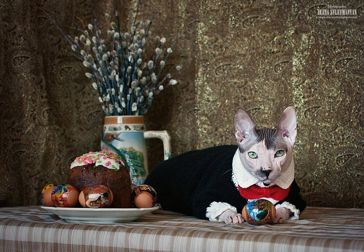 , Сулейманян Елена