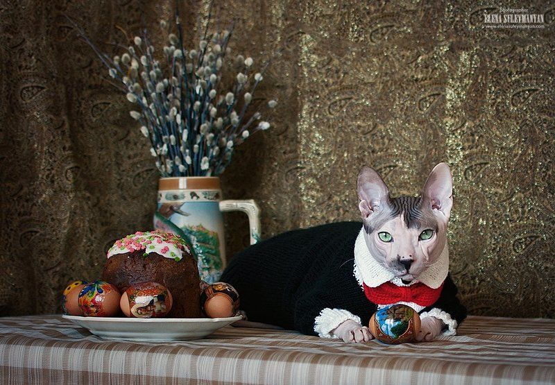 Всех со светлым праздником Пасхи! фото превью