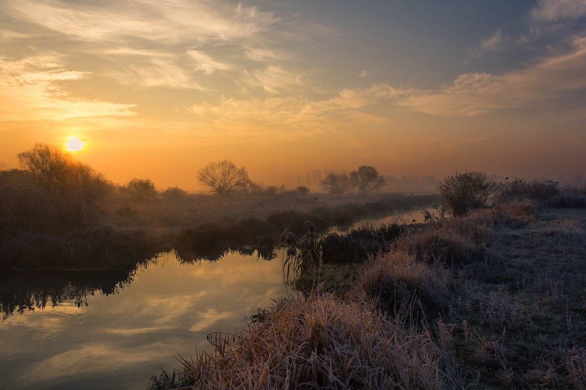 , Pawel Plucinski