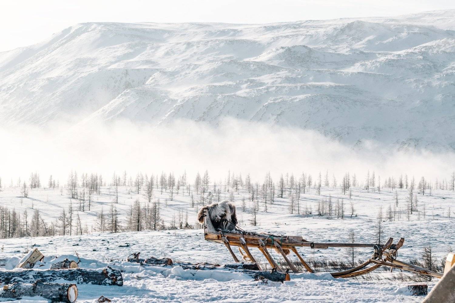 ямал, народы, севера, полярный, урал, круг, рай-из, горы, горный, массив, Настя Братка