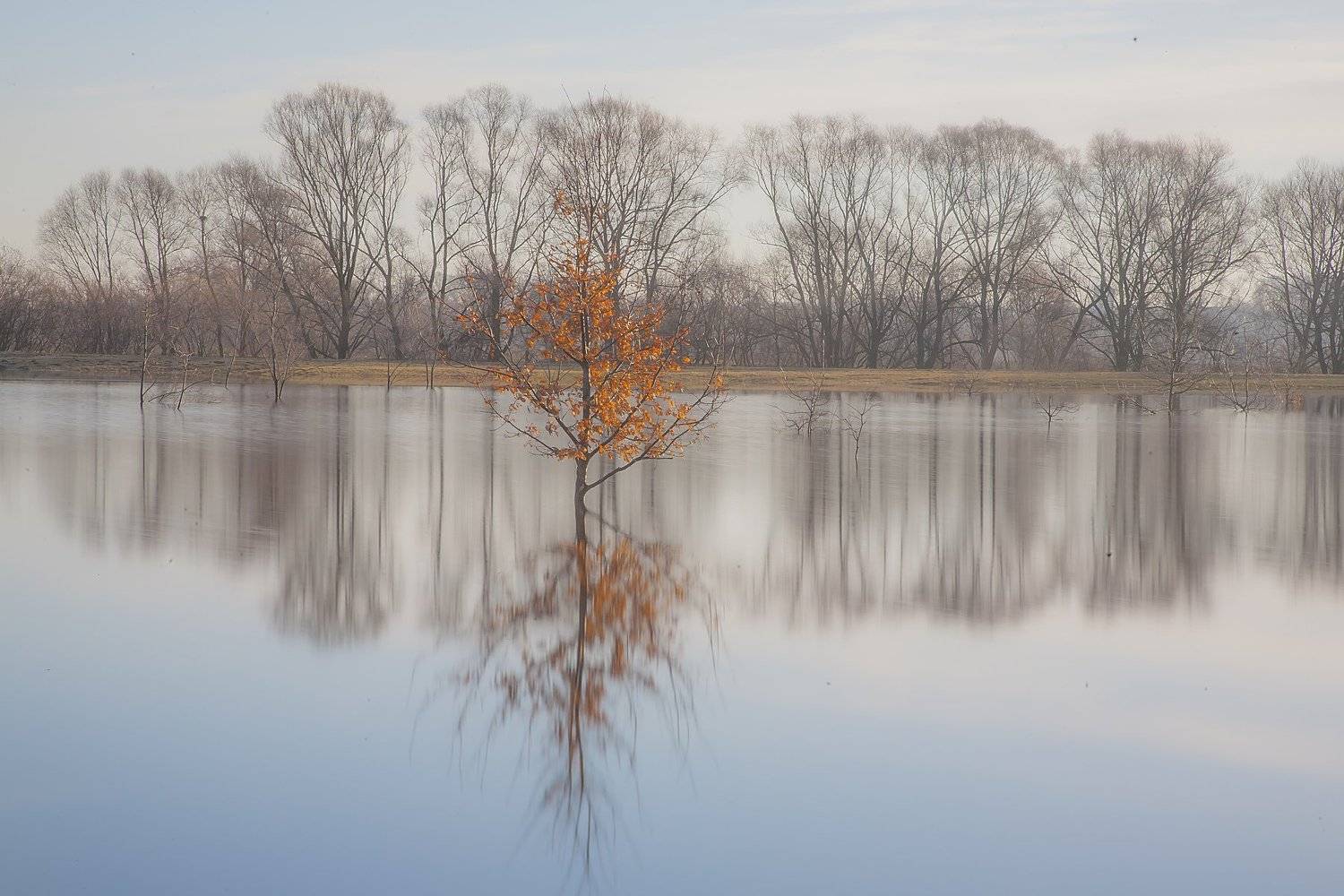 Половодье, весна, апрель, отражения, Вениамин Дардык