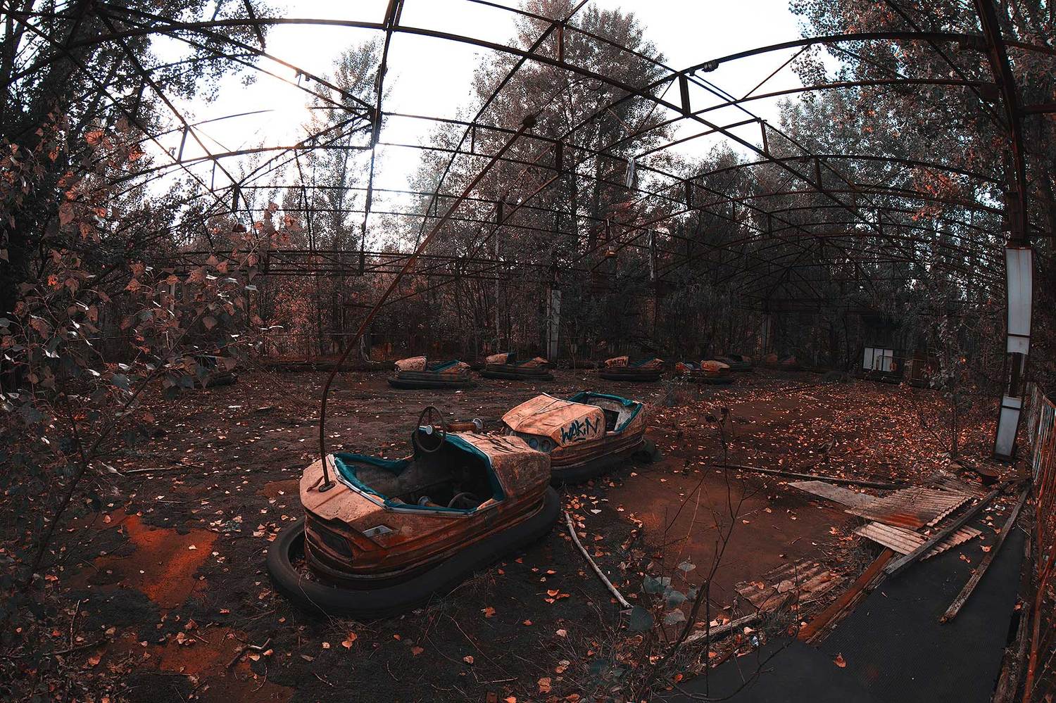 , Игорь Баранюк