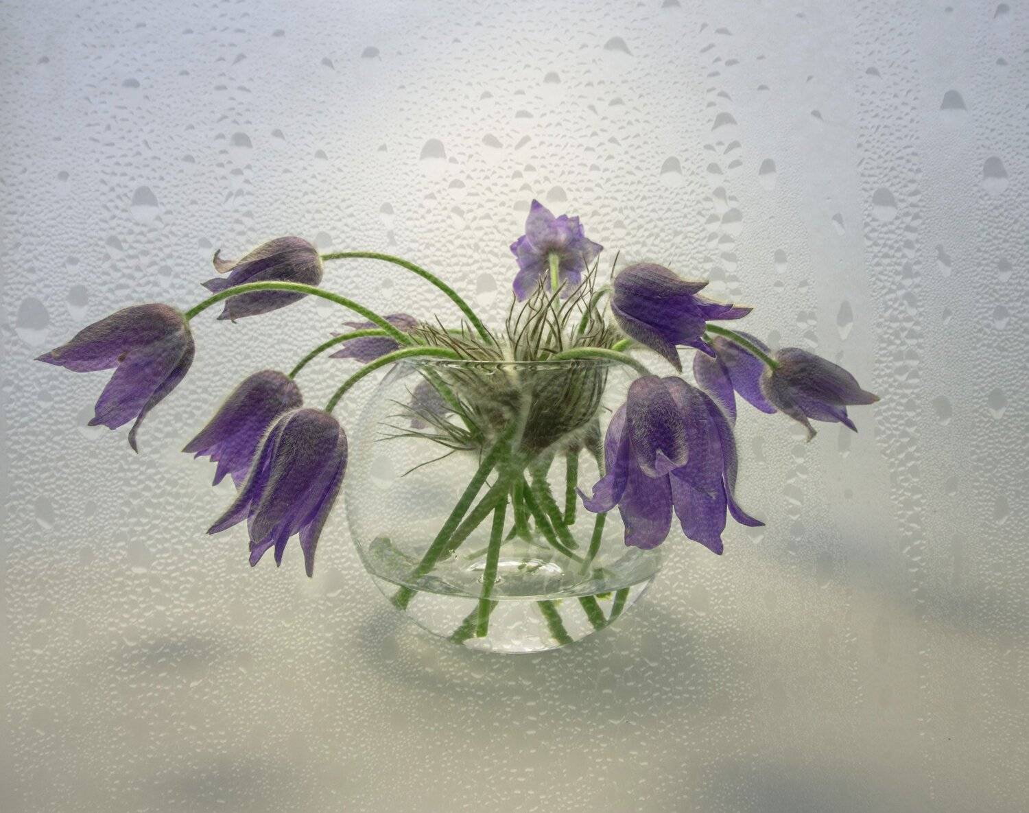 , Наталья Бочкарева