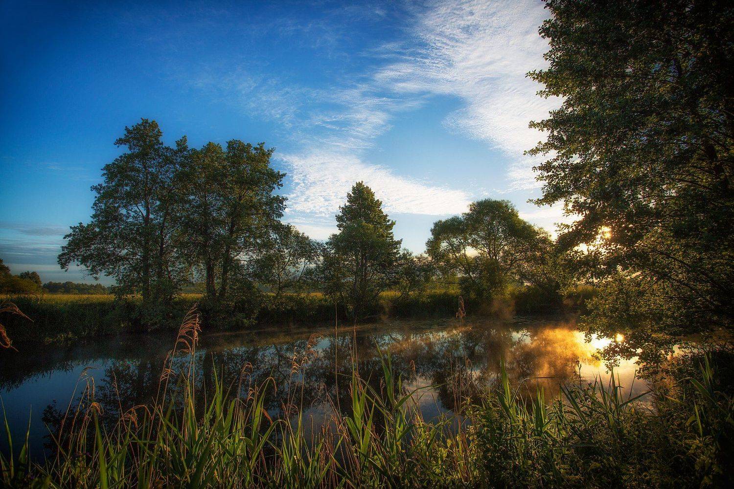 , Юлия Войнич