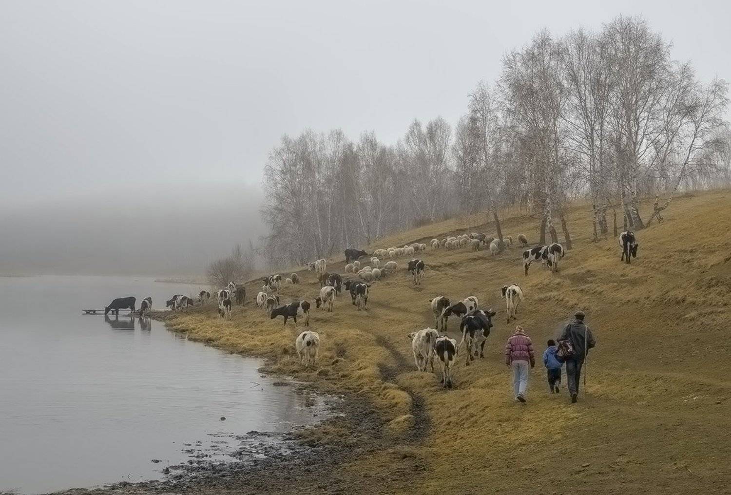 , Николай Морский