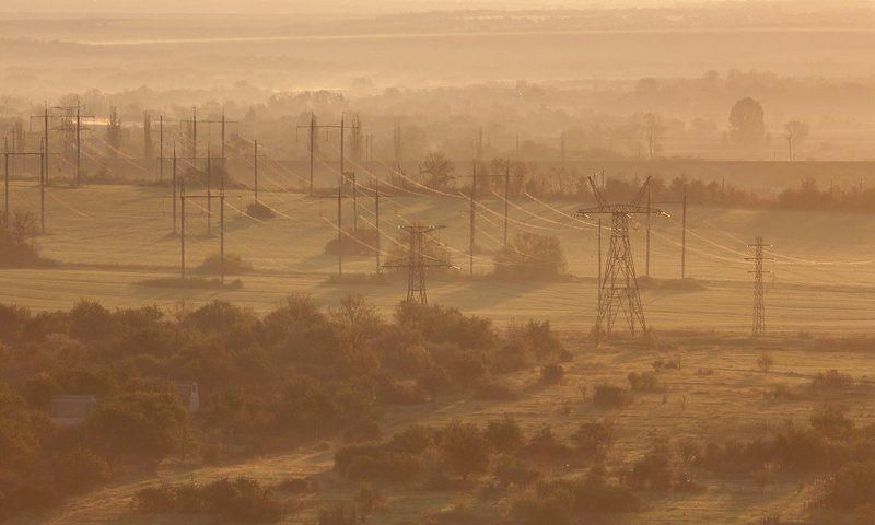 паутина фото превью