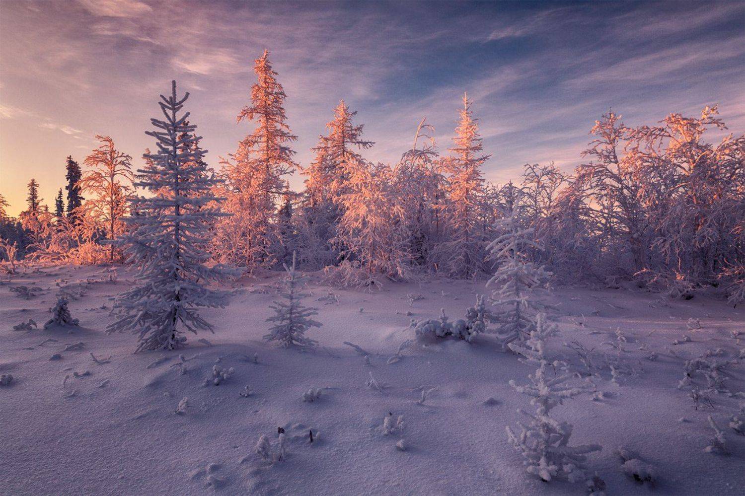 , Евгений Кужилев