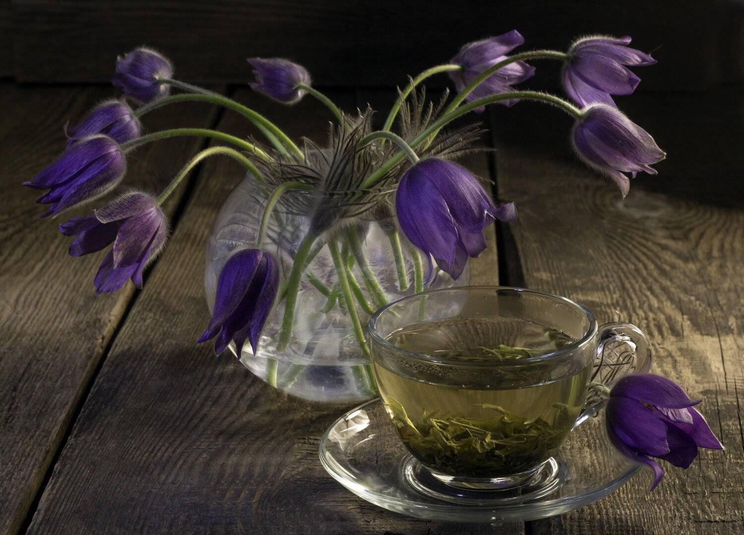 , Наталья Бочкарева