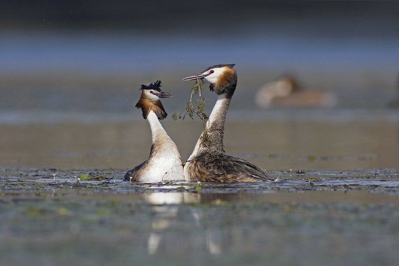 Любовь фото превью
