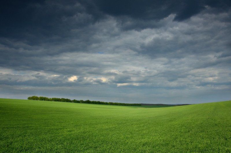 Поля и даль фото превью