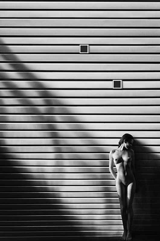 nu, девушка, ню, портрет, чб *** фото превью