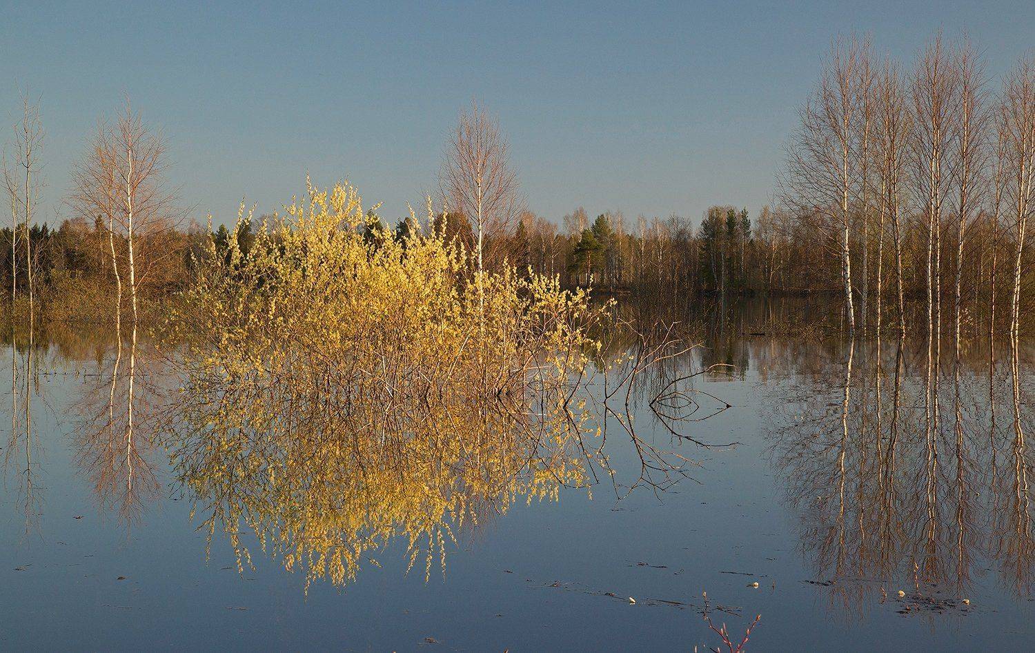 , Поташев Александр