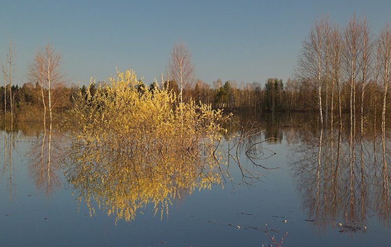 ******* фото превью