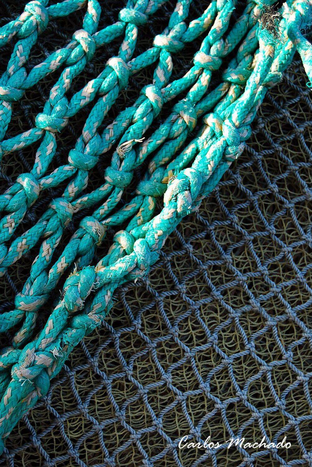 Macro, Travel, Other, Reportage, Still life,, Carlos Machado