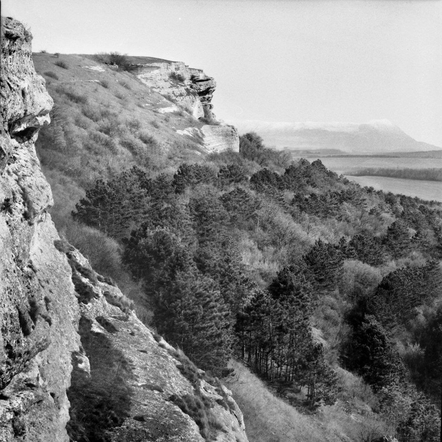 , Франгони Владимир