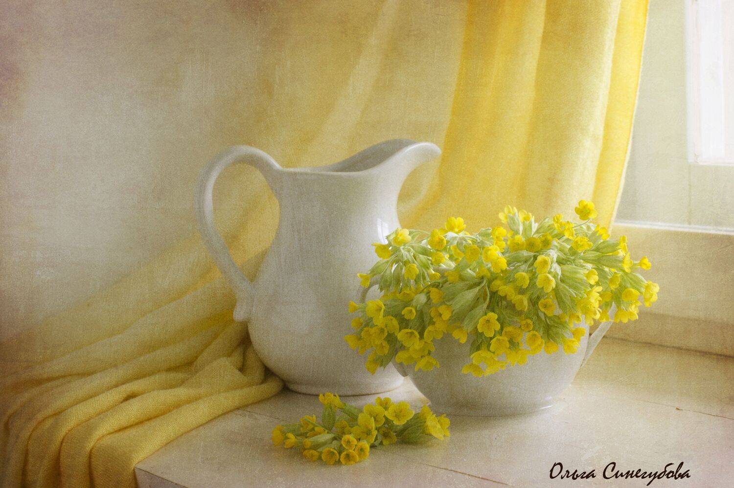 , Синегубова Ольга